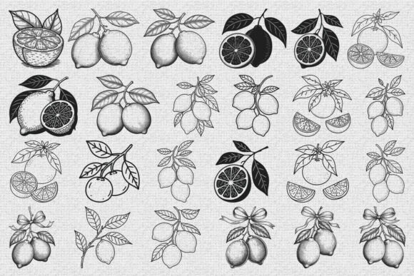 Download Tropical Citrus Lemon Fruit SVG Bundle - Citrus lemon Collection