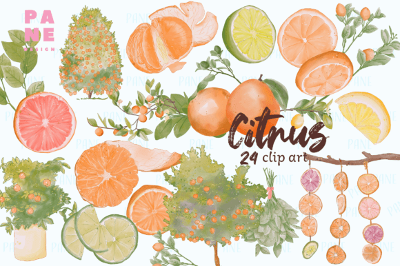 Download Citrus Lemon Orange Watercolor Clipart - Citrus lemon Collection
